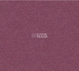 Ковровая плитка Interface Polichrome Solid 4266024 Malva фото 1 | FLOORDEALER